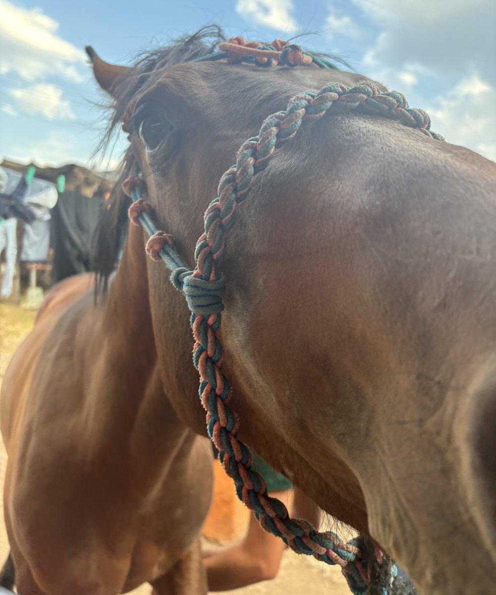 y’all got games???