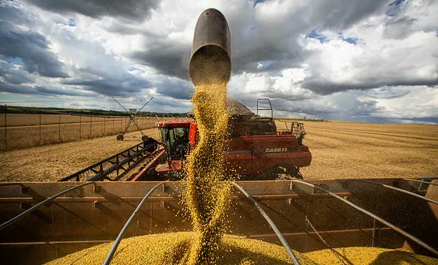 Nueva herramienta de mercado para el productor agropecuario @MaxCapital_

bankmagazine.com.ar/max-agro/