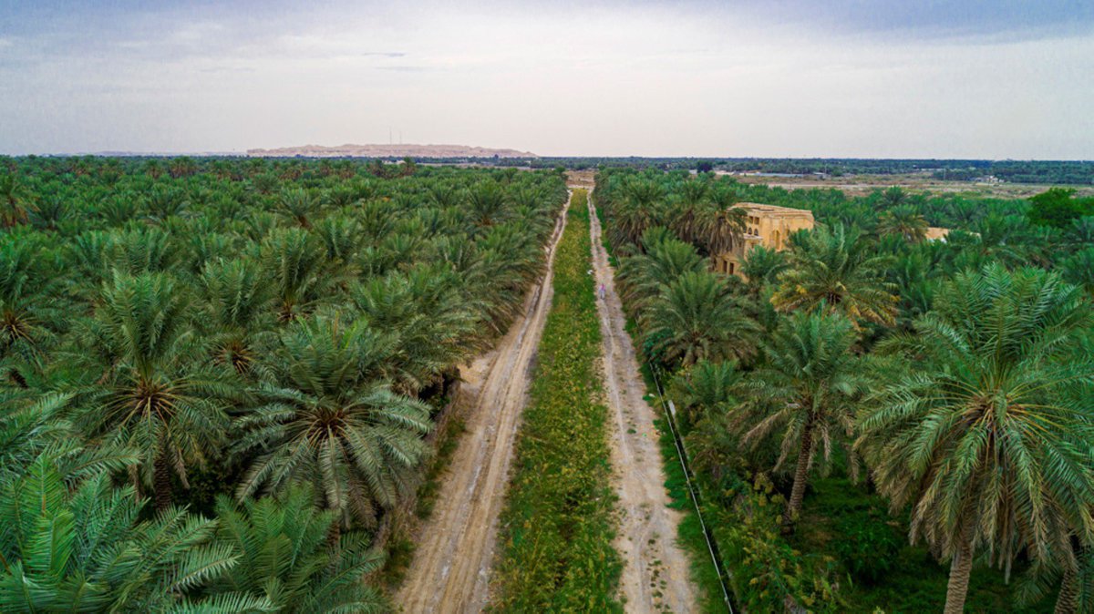 🇸🇦قيس عيلان tweet media