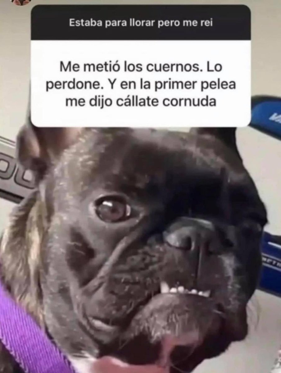 Alejo tweet media