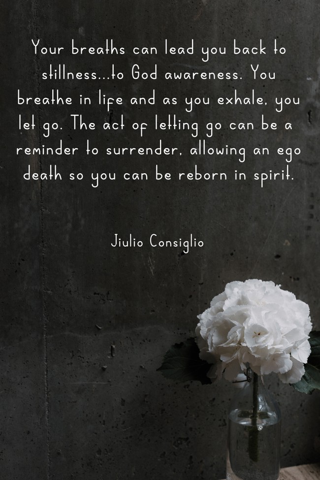 JiulioConsiglio's tweet image. #stillness #awaken #egodeath 
#enlightenment #newearth