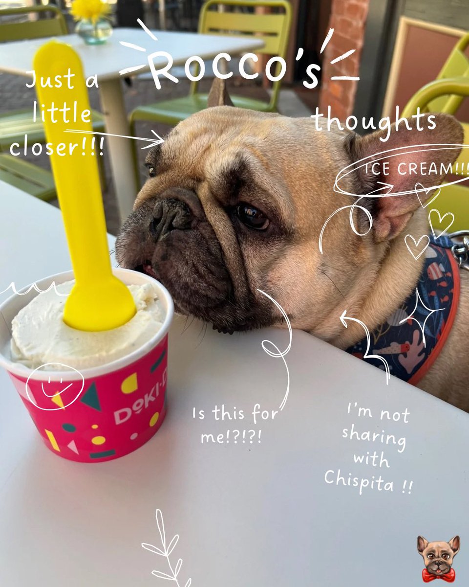 Rocco's ready to scoop up happiness at Doki Doki Ice Creamery! With dreams of vanilla swirls and sprinkles, he's got a lot on his mind: like, should he try the new unicorn flavor or stick with classic vanilla? Decisions, decisions! 🍦🤔
‌