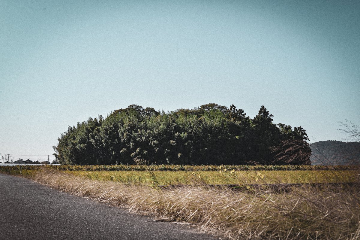 禁足地？ 処刑場の跡？──数年前にSNSで話題となった“心霊スポット”〈シガイの森〉。普段オカルトには触れないhistoricaがなぜ、今回この場所へ踏み込んだのか？

その理由は、この場所に隠された驚愕の歴史にありました。動画は近日公開予定。お楽しみに😉