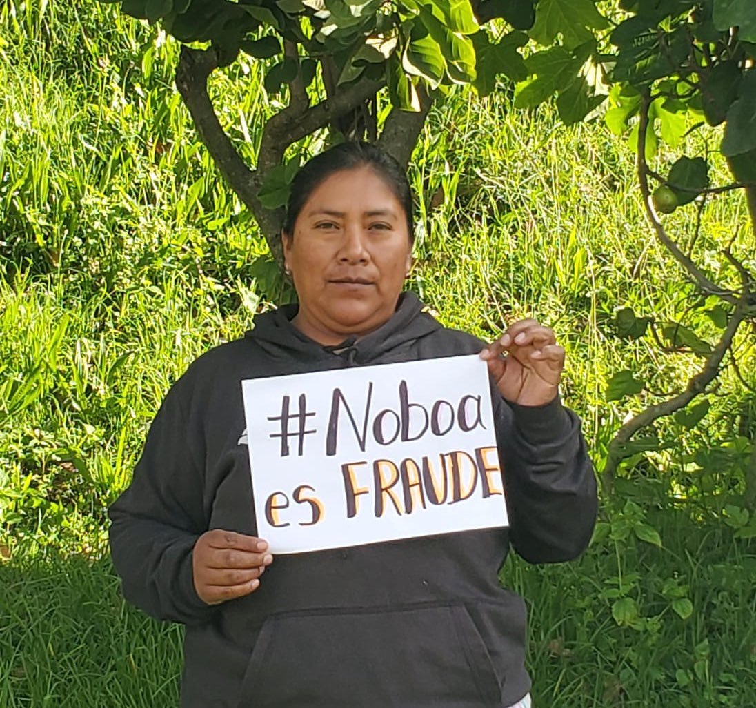 Franklin Samaniego tweet media