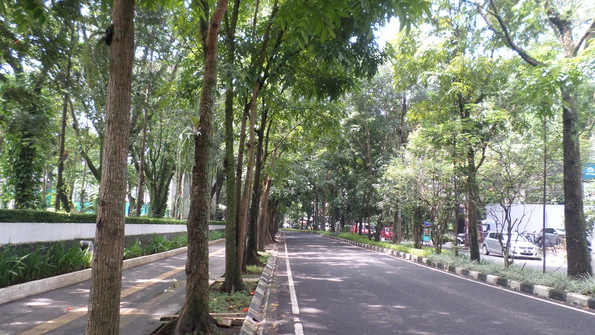 vbpp_'s tweet image. #WTS kamera digital Samsung st72
- Berfungsi Normal
- Mulus 99%
- Banyak fiturnya
Lokasi Bandung bisa via shopee
Harga 990k #digicam