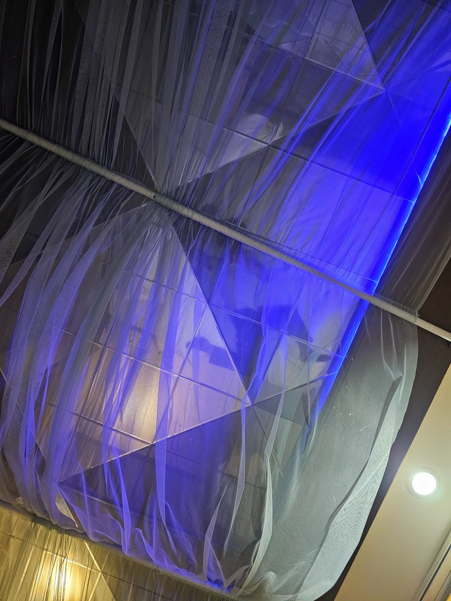 잘자 아기고양이들