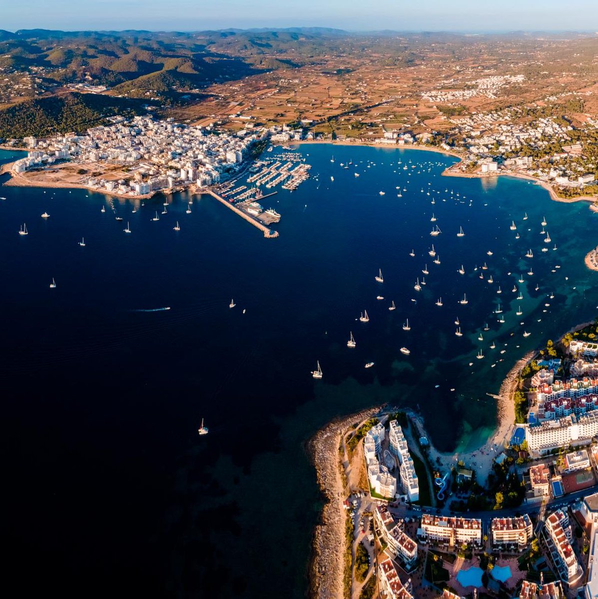 Francisco Tienda tweet media