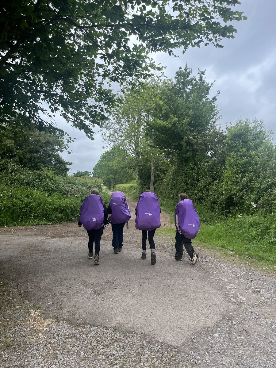 Hanham Woods D of E tweet media