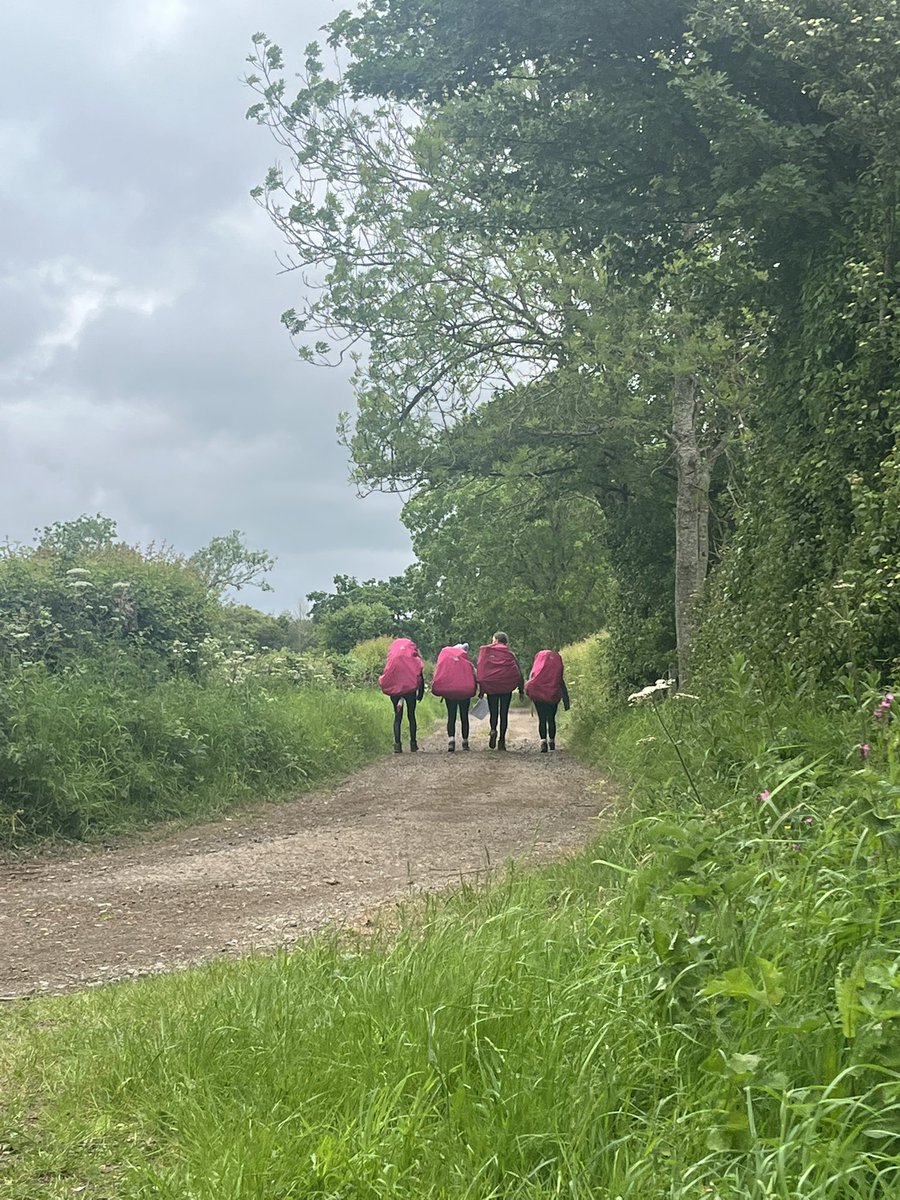 Hanham Woods D of E tweet media