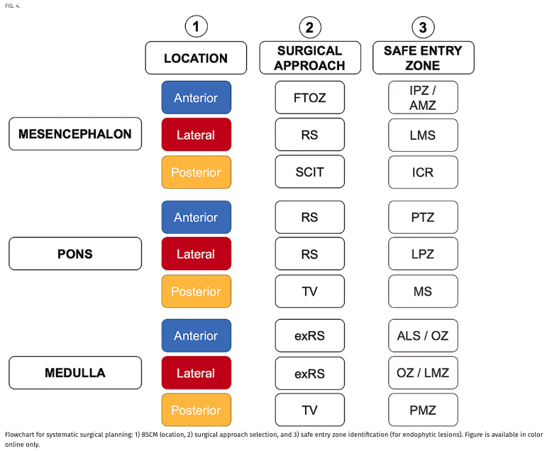 #FreeArticle. Researchers introduce practical guide for surgical planning and optimal management of hemorrhagic brainstem cavernous malformations. thejns.org/view/journals/…