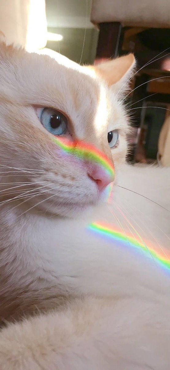 Sol ☼ (@solithra) on Twitter photo 