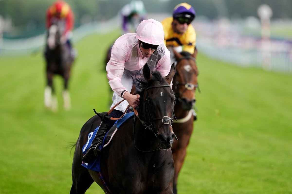 GBRI (@gbri_uk) on Twitter photo MGHEERA (GB) backs up recent Gr.3 victory with success in Gr.2 Temple Stakes for <a href="/edwalkerracing/">Ed Walker Racing</a>! ๐ฅ
The mare is owned by Lord Lloyd-Webber & Arthur Mitchell of Australiaโs <a href="/yarramanpark/">Yarraman Park Stud</a>. ๐ฌ๐ง๐ฆ๐บ
<a href="/haydockraces/">Haydock Park Races</a> | <a href="/WilliamBuickX/">William Buick</a> | <a href="/johnnymckeever1/">Johnny McKeever</a> | <a href="/WatershipStud/">Watership Down Stud</a>
๐ท via <a href="/itvracing/">ITV Racing</a> MGHEERA (GB) backs up recent Gr.3 victory with success in Gr.2 Temple Stakes for <a href="/edwalkerracing/">Ed Walker Racing</a>! ๐ฅ
The mare is owned by Lord Lloyd-Webber & Arthur Mitchell of Australiaโs <a href="/yarramanpark/">Yarraman Park Stud</a>. ๐ฌ๐ง๐ฆ๐บ
<a href="/haydockraces/">Haydock Park Races</a> | <a href="/WilliamBuickX/">William Buick</a> | <a href="/johnnymckeever1/">Johnny McKeever</a> | <a href="/WatershipStud/">Watership Down Stud</a>
๐ท via <a href="/itvracing/">ITV Racing</a>