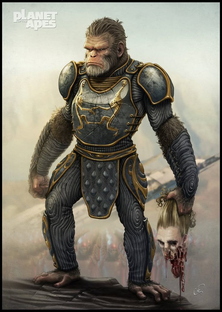 ApeWifHat tweet media