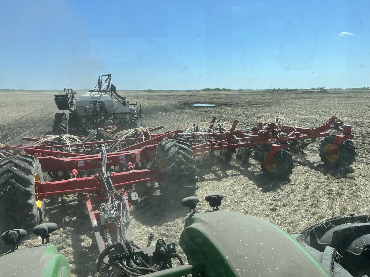 Planting new Nexera variety B3901N LL contracted to Bunge Harrowby. ⁦<a href="/CortevaCA/">Corteva Canada</a>⁩ ⁦<a href="/prairiegiants/">Prairie Giants Crop Supply</a>⁩