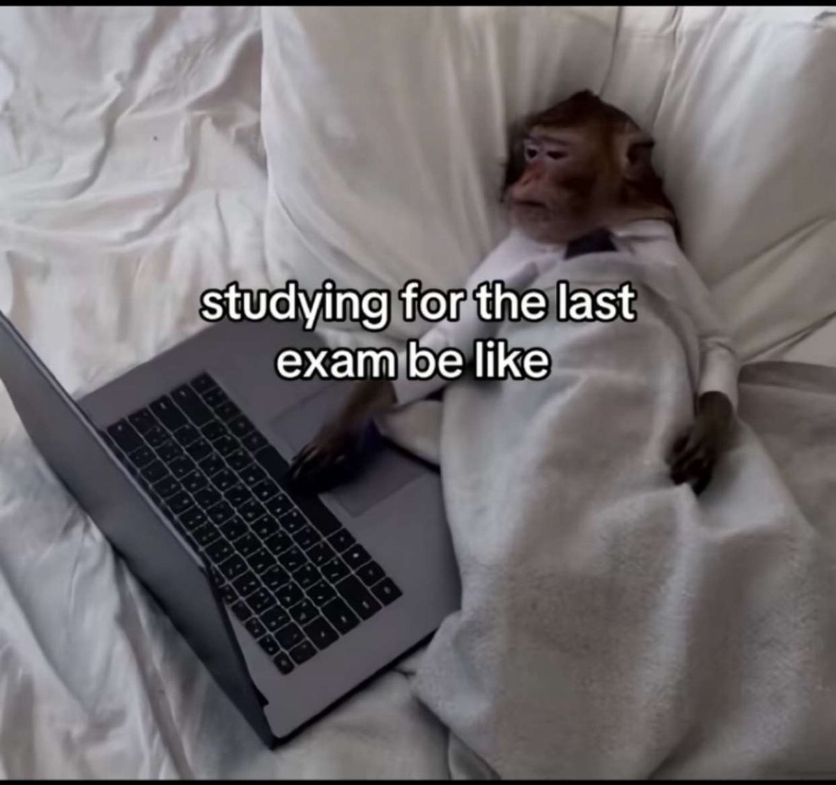 😴
