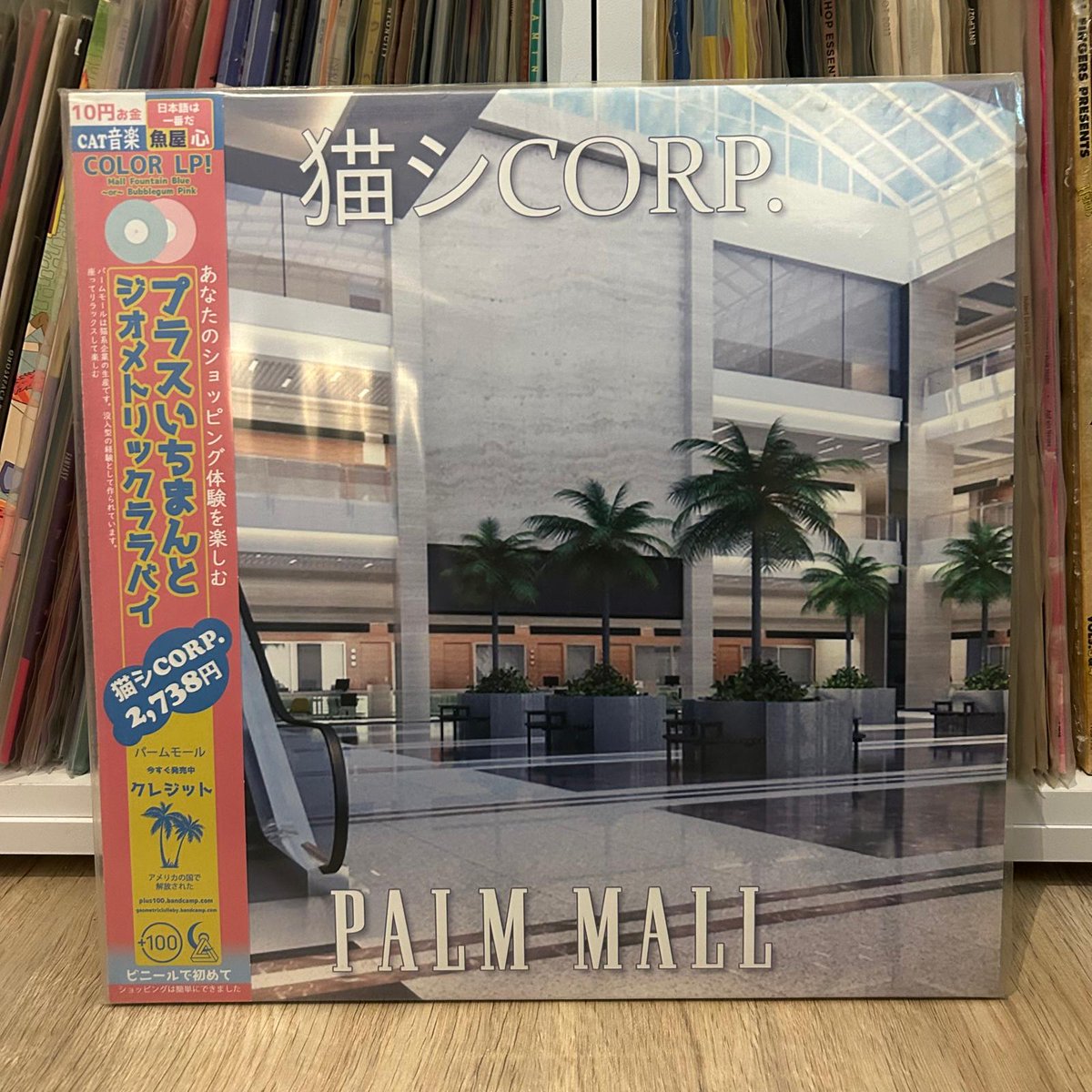 record of the day