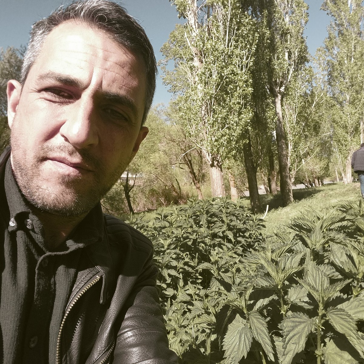 ISIRGAN SEZONUNU KAÇIRMAYALIM. FAYDALARI NELERDİR
Yüksek miktarda C vitamini ve demir içerir. C vitamini vücudun demir emilimini arttırır. Demir emiliminin artması da yorgunluk ve anemiye iyi gelir.
Önemli miktarda potasyum bulundurur. Vücuttaki potasyum minerali damarlara yarar