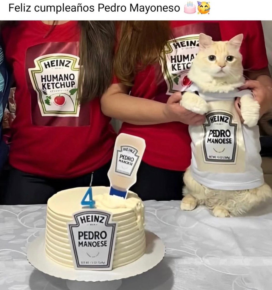 Punch Cat (@punchingcat) on Twitter photo 