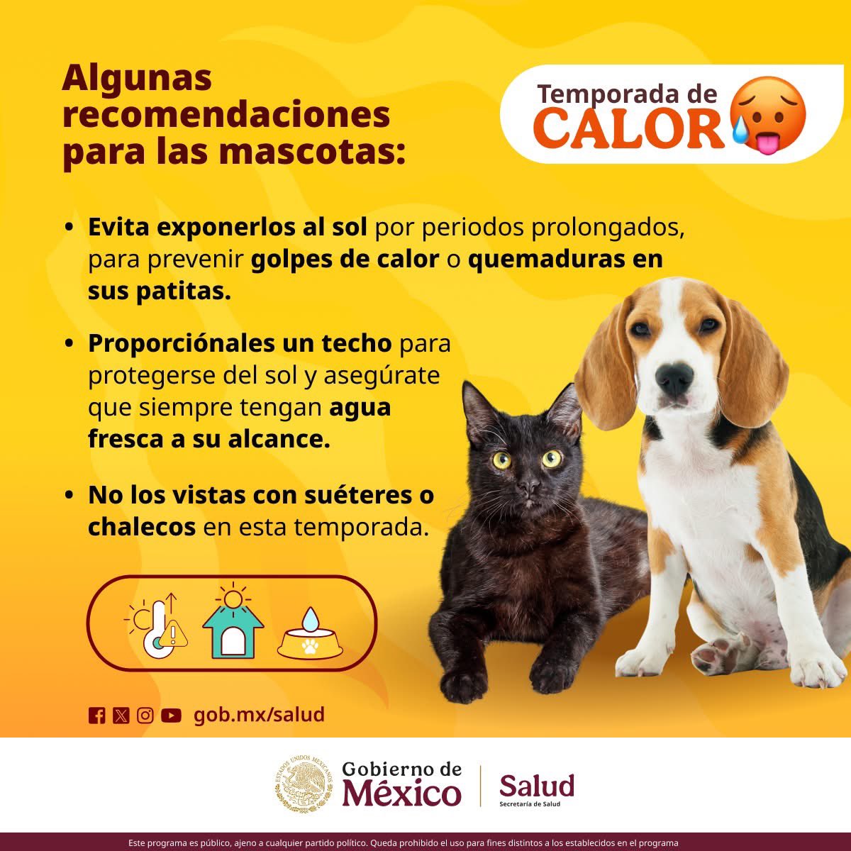 #TemporadaDeCalor ☀️🔥

Las altas temperaturas no solo nos afectan a nosotros, también pueden ser un riesgo para la salud de tus mascotas. 🐶🐱

Con cuidados simples, podrás ayudar a prevenir golpes de calor, deshidratación y otros problemas comunes de la primavera y verano. ☀️