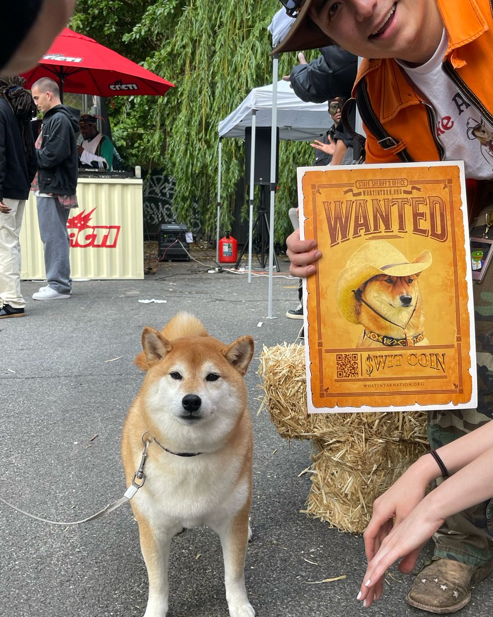 What in Shiba Inu nation!? #wit