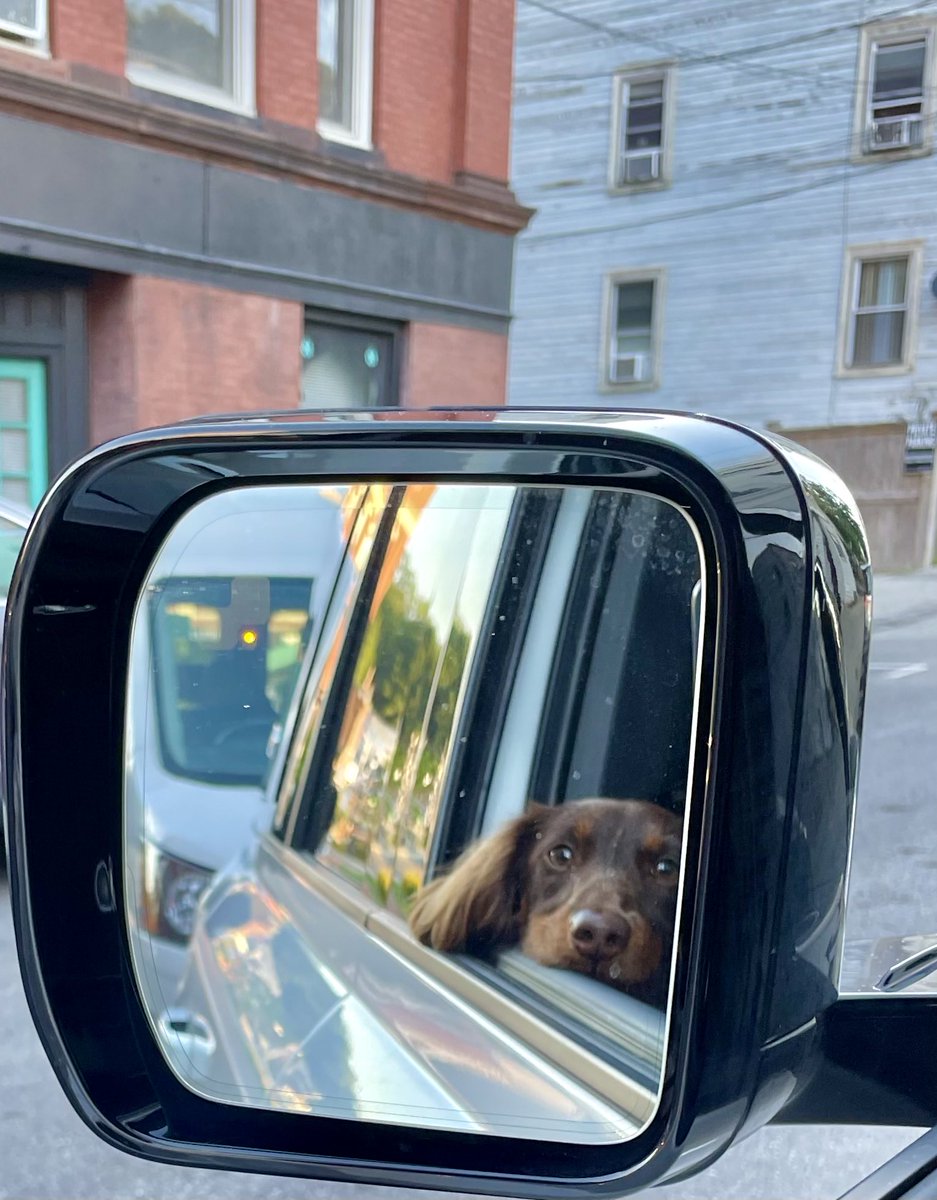 “You better be gittin’ me a pup cup, bitch”