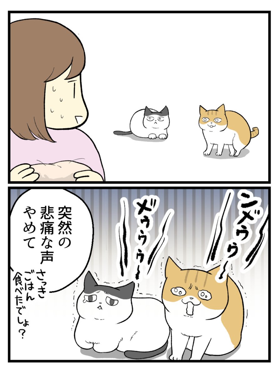 (1/2) 