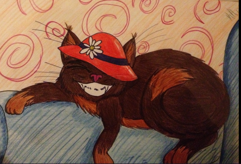 CattVanDo tweet picture