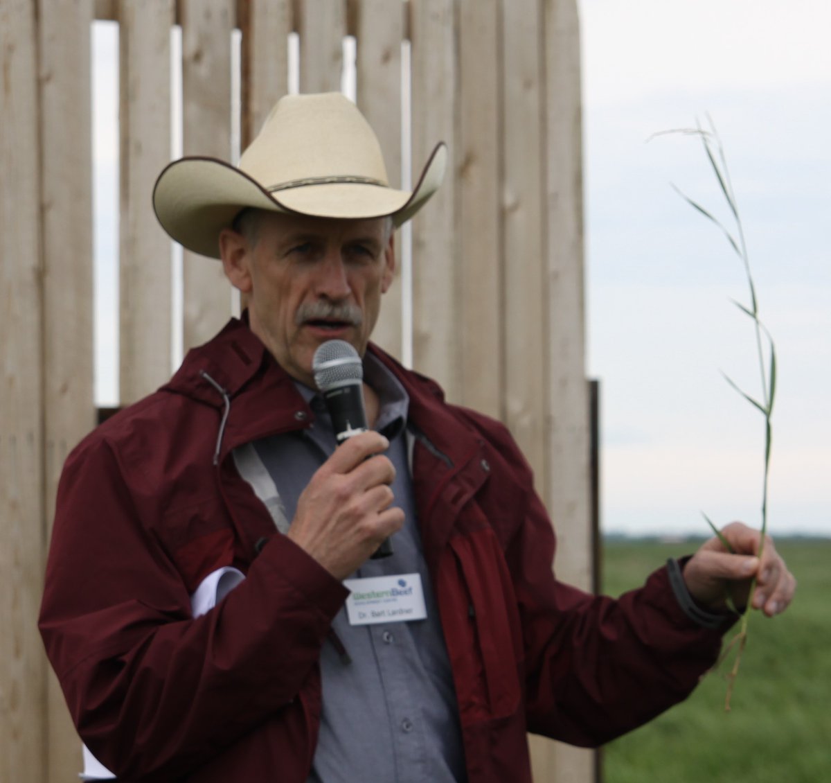 DrBart_Beef's tweet image. edition.pagesuite.com/infinity/artic… - Ag extension &apos;implicit,&apos; not &apos;explicit&apos; at U of S 

#LardnerLab #AppliedBeefForageResearch