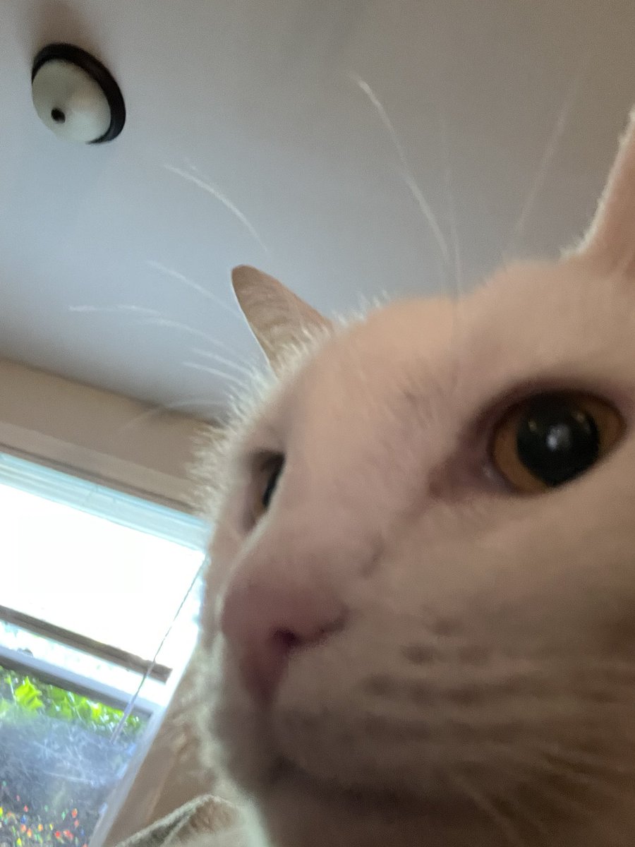 yea so anyways big tech started throwback thursday so we would upload photos they otherwise wouldn’t have access to in order to feed their facial recognition and age progression softwares