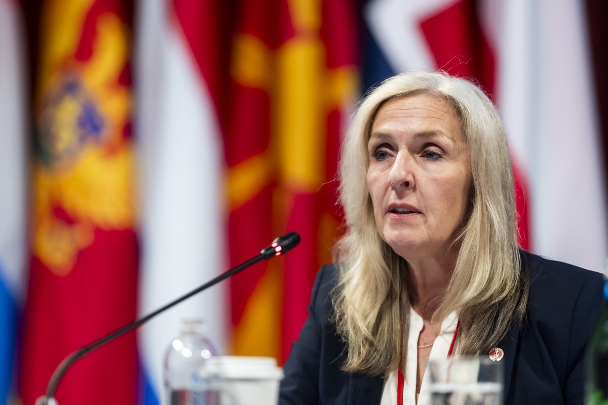 NATO PA / AP-OTAN tweet media