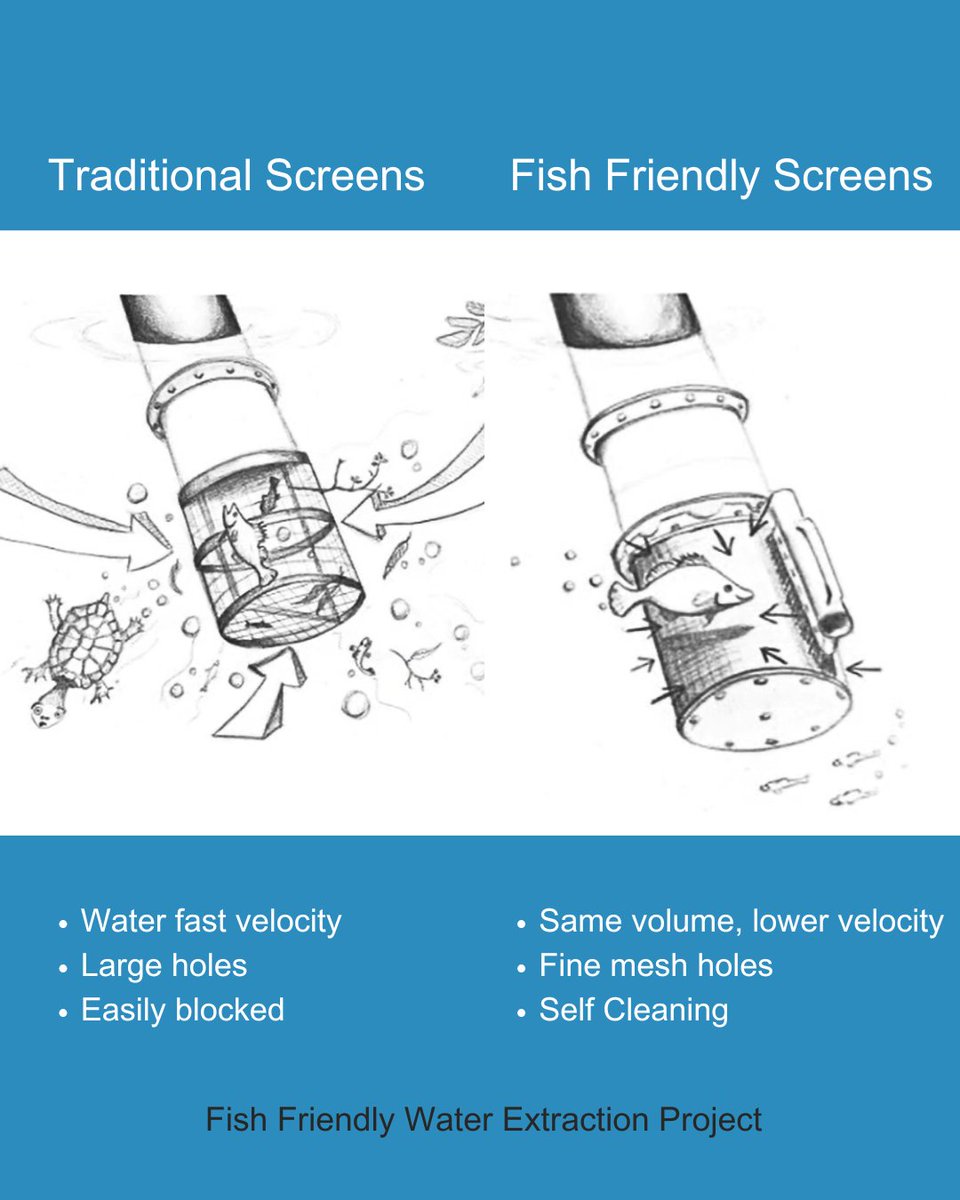 SQLandscapes's tweet image. Traditional pumps can pull thousands of fish from rivers in a single day. The Australian Government funded Fish Friendly Water Extraction Project is changing that—protecting native fish, preserving biodiversity &amp;amp; building healthier river systems.

#FishFriendly #ProtectOurFish