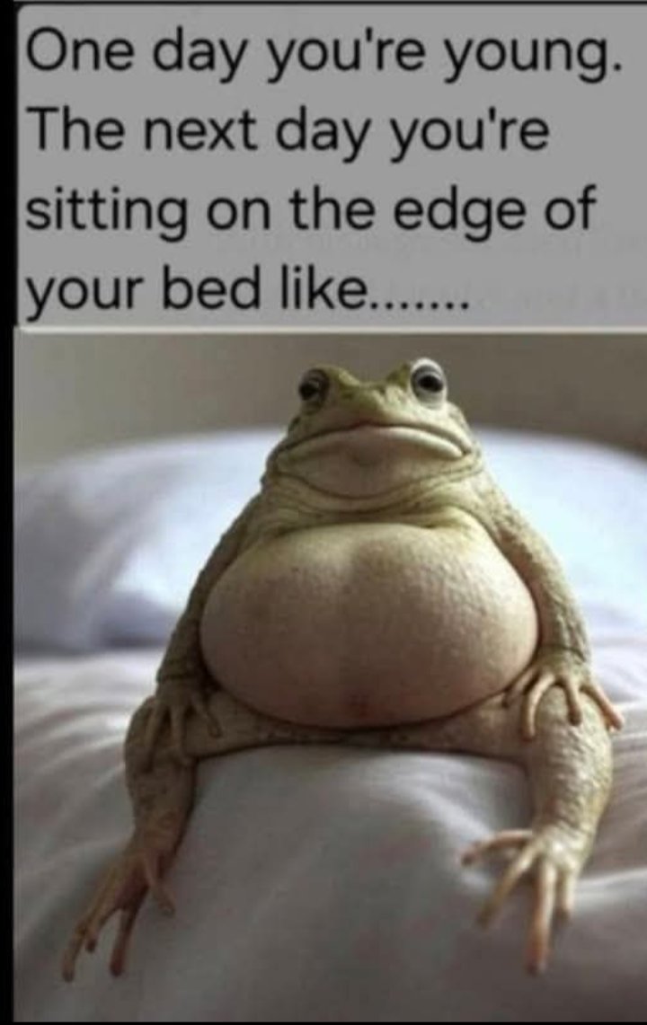 AndreLopez_NRS's tweet photo. @ShitpostGate https://t.co/Ule4o0BFO0