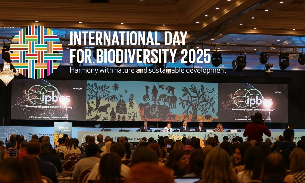 UN Biodiversity (@unbiodiversity) on Twitter photo Celebrating #BiodiversityDay 2025, <a href="/UNBiodiversity/">UN Biodiversity</a> joined the event hosted by <a href="/GENetwork/">GENeva Environment Network</a> at the Palais des Nations in Geneva, focusing on the theme: "Harmony with nature and sustainable development."
🎥 Watch the full event: youtube.com/watch?v=OQNkt6…
#KMGBF #GlobalGoals #IPBES Celebrating #BiodiversityDay 2025, <a href="/UNBiodiversity/">UN Biodiversity</a> joined the event hosted by <a href="/GENetwork/">GENeva Environment Network</a> at the Palais des Nations in Geneva, focusing on the theme: "Harmony with nature and sustainable development."
🎥 Watch the full event: youtube.com/watch?v=OQNkt6…
#KMGBF #GlobalGoals #IPBES