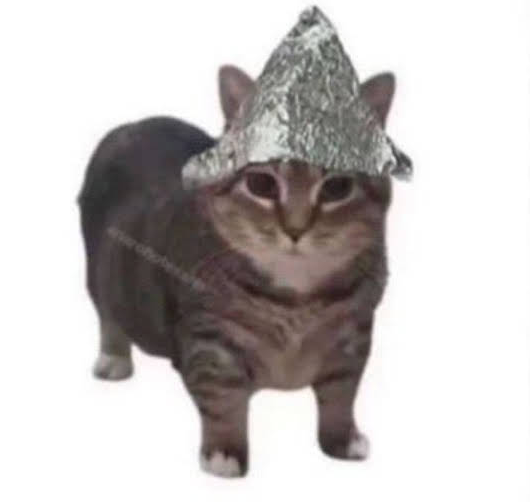 nearcyan's tweet image. waking up and realizing theres no longer a single thing im better at than AI is, given the right context
