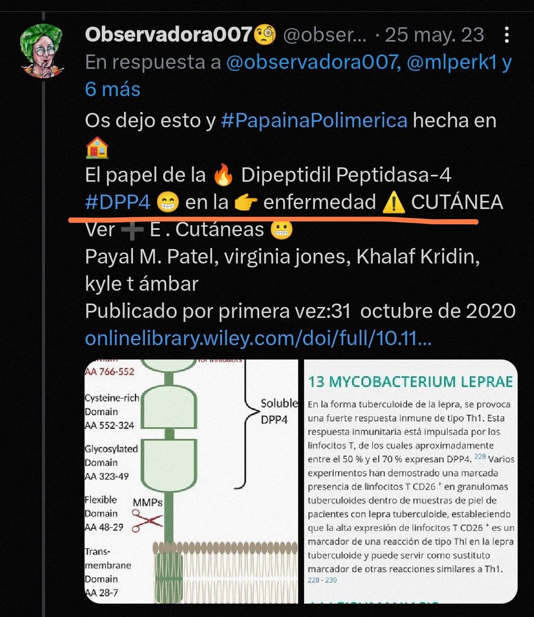 observadora007's tweet photo. @CuecaLabs @AnaMar246724 💖💫 #CD26 🟰 DPPs 🟰 #DPP4 ... Enfermedades CUTÁNEAS, CICATRIZACIÓN .... 🙄😊
🔥
https://t.co/cTRDidCkJ7 https://t.co/vKG1na3Y7V