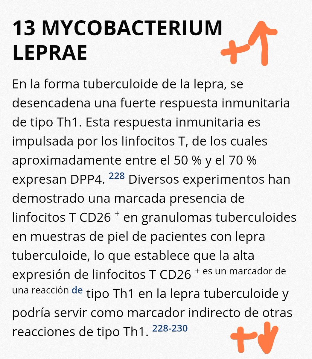 observadora007's tweet photo. @CuecaLabs @AnaMar246724 💖💫 #CD26 🟰 DPPs 🟰 #DPP4 ... Enfermedades CUTÁNEAS, CICATRIZACIÓN .... 🙄😊
🔥
https://t.co/cTRDidCkJ7 https://t.co/vKG1na3Y7V