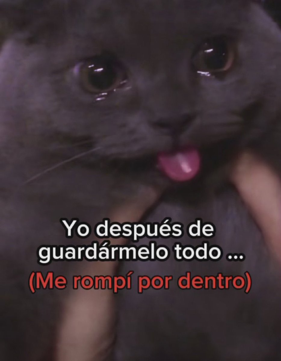 skereunpesado's tweet photo. https://t.co/ThG9hHxJ8i