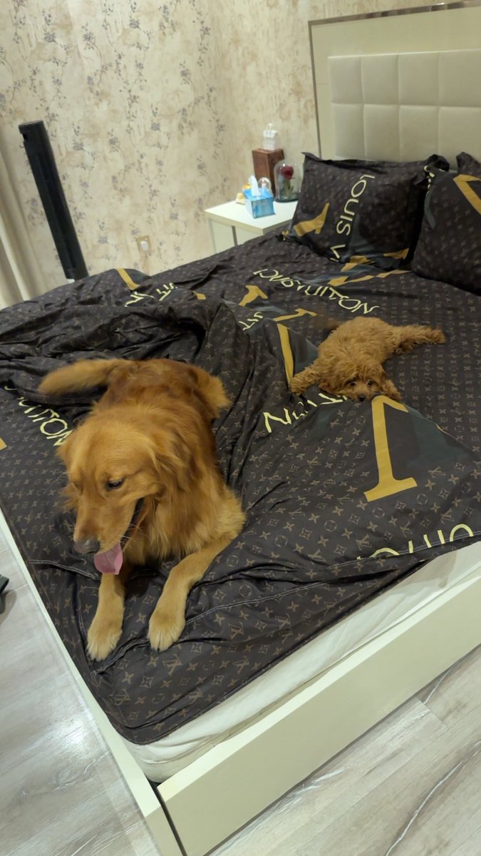 Khalifa (@vo1kz) on Twitter photo 