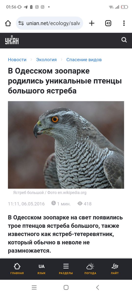 Yasha Bog tweet media