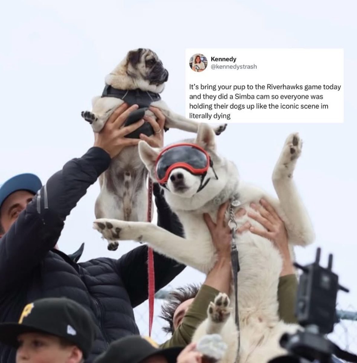 Edmonton Riverhawks (@edmriverhawks) on Twitter photo come bring your dog to the ballpark!
paws in the park with <a href="/homesalivepets/">Homes Alive Pets</a>
is back on Sunday, June 8th!
🔗 tickets.gohawks.ca/default.aspx come bring your dog to the ballpark!
paws in the park with <a href="/homesalivepets/">Homes Alive Pets</a>
is back on Sunday, June 8th!
🔗 tickets.gohawks.ca/default.aspx