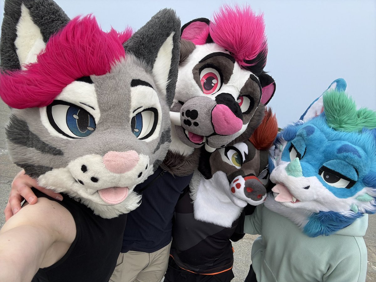 Soju cat ➔ LVFC, CFZ tweet media