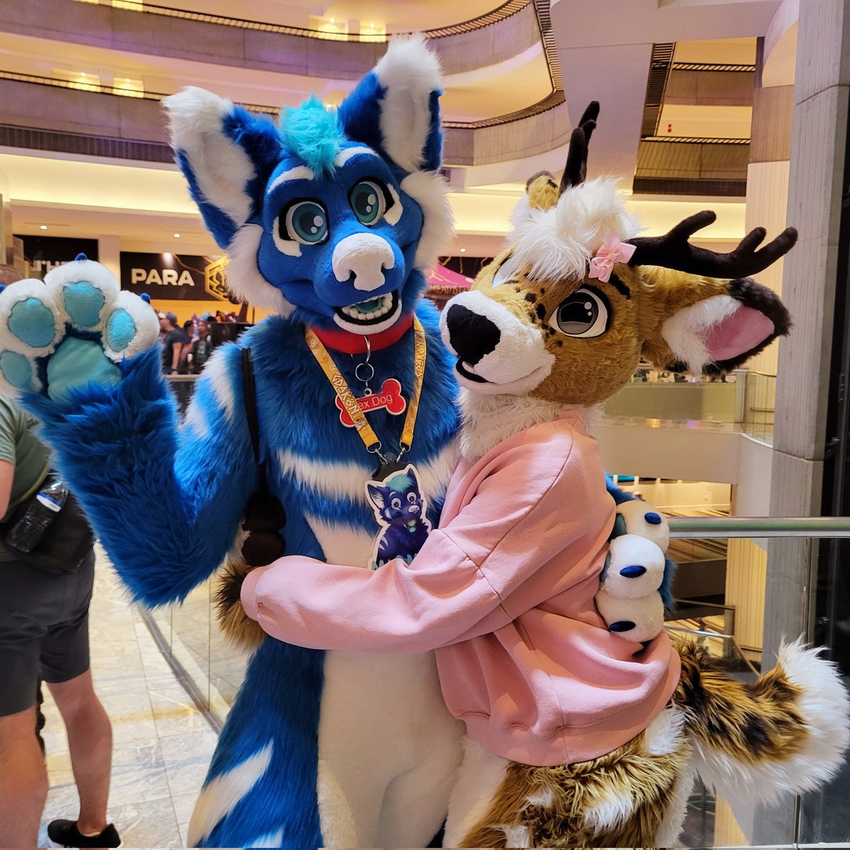 Smoll deer and a big hoosk :D ❤️

🐕: <a href="/MarMarHusky/">MarMar Hoosk 🔜 FWA, CFZ</a>