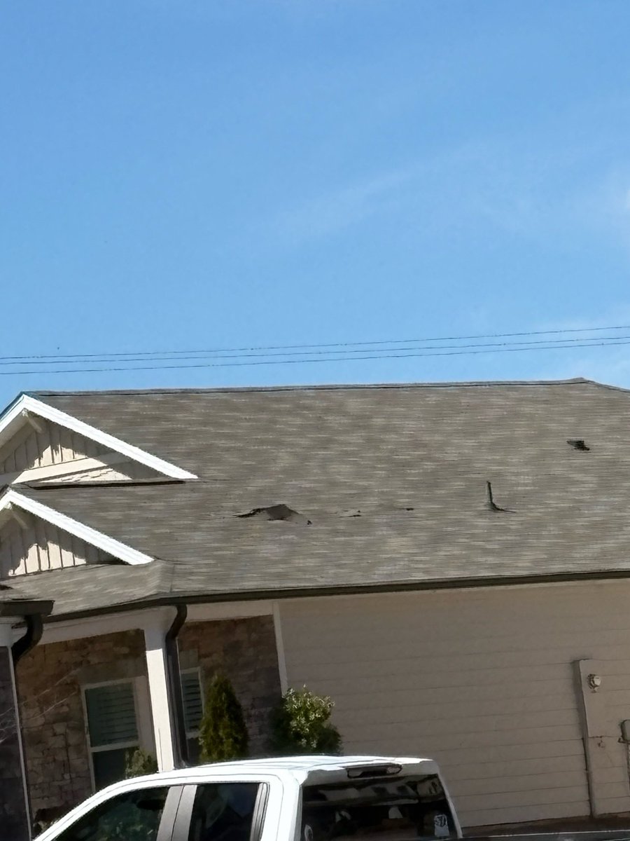 georgiaborngirl tweet media