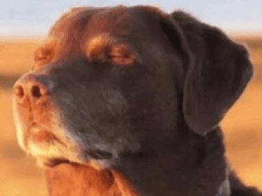 I think Marvel Rivals has ruined my enjoyment of multiplayer games. I keep getting bored of Splitgate 2 and Delta Force because I'm stomping lobbies rather than being abused by the matchmaking 24/7.

I might be cooked...