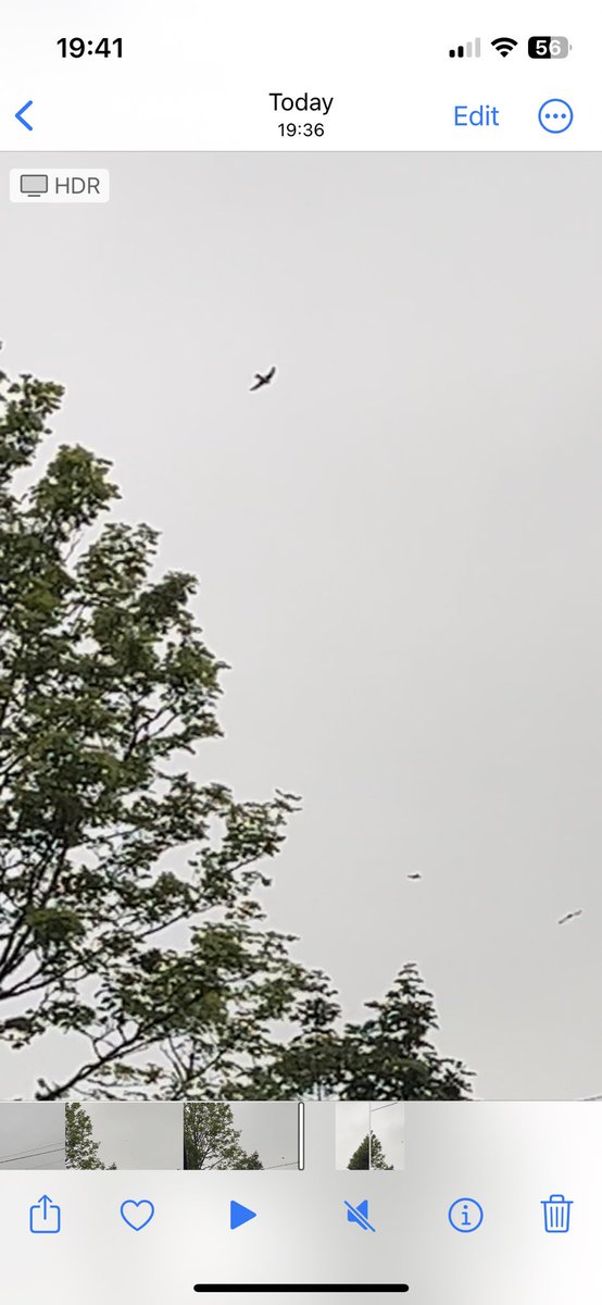 Mertynabbot tweet media