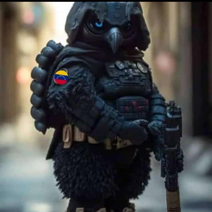 javicasique's tweet photo. #NuevaFotoDePerfil https://t.co/fFGdqIUgpW