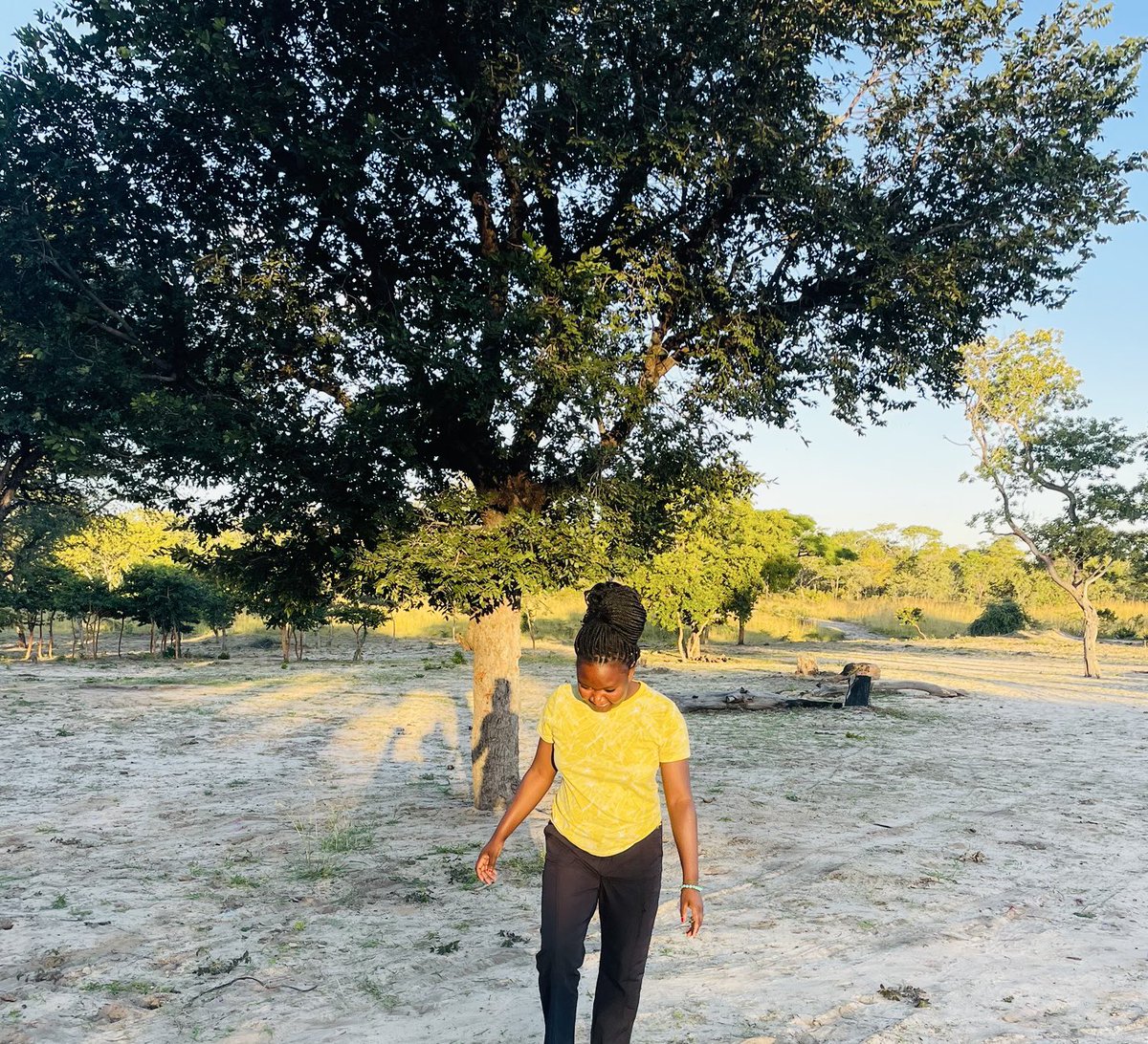 Ms Environment 🌳🌲🌍🐬🐘 tweet media