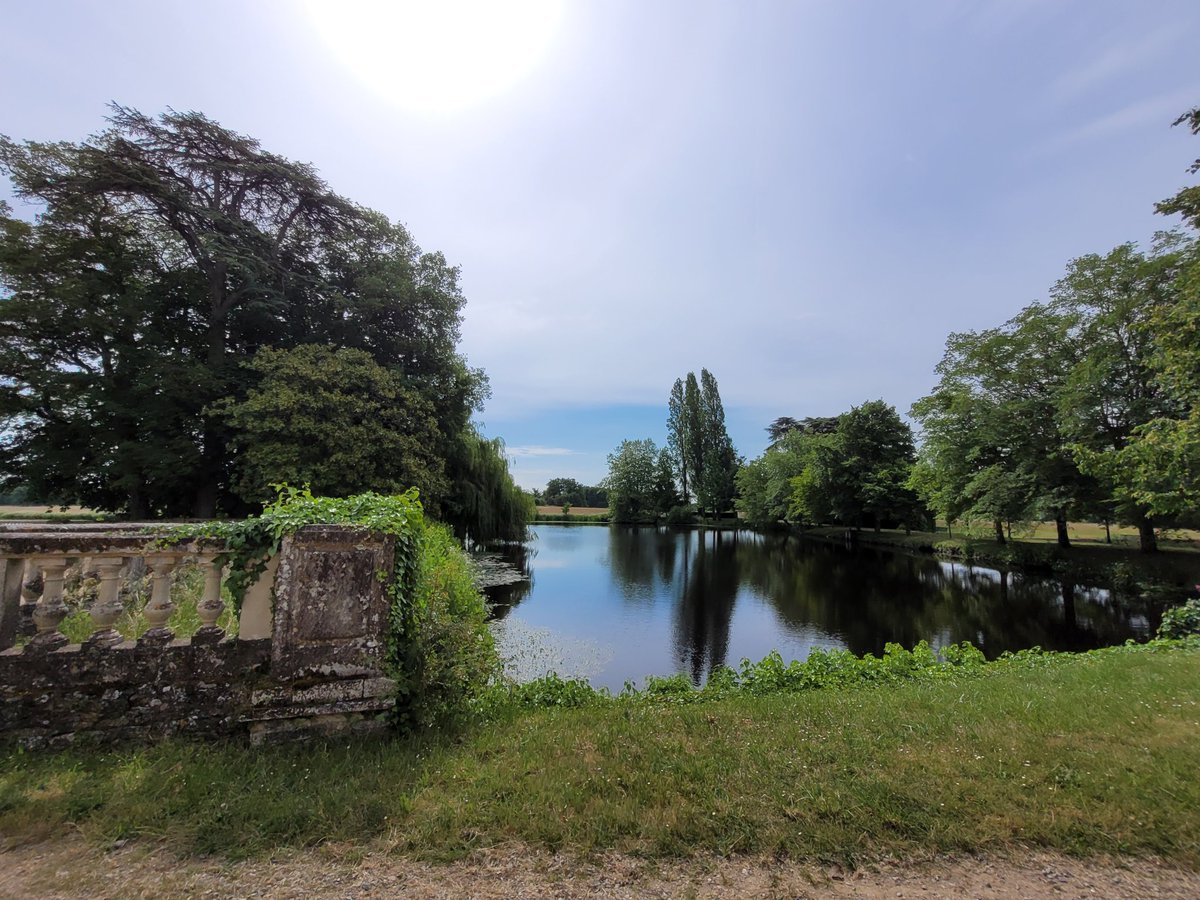 BrigitteUhrmann's tweet photo. Park walk at Château de #Serrant. Not many flowers, but they do use the lake and moat features to great effect. Beautiful and peaceful. https://t.co/v8OvpT8T33