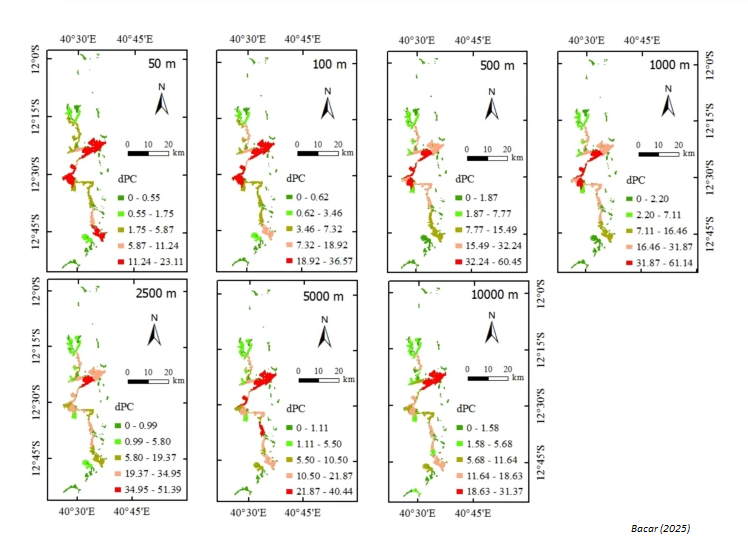 CommunityEcol's tweet image. ๐ ๐ฟ NEW study about #plantdiversity and spatial structure of protected #mangrove patches in eastern Africa mapped with Sentinel-2B satellite imagery.
๐ rdcu.be/envk2
#researchpaper #communityecology #MangroveEcosystem