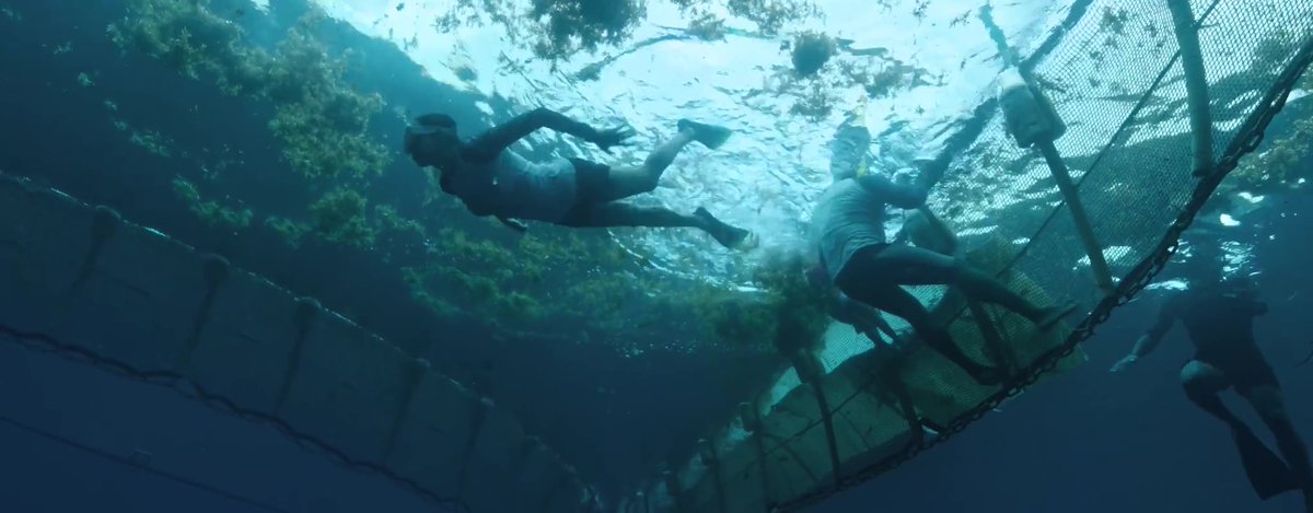 SkyglowProject's tweet image. So, here are a bunch of snapshots from our new Cinema for Peace nominated Tree Media Group doc film LEGION 44! If you&apos;d like to watch the film, please visit: legion44.world/watchandremove and you will also help remove carbon via your donation. Cheers! #cdr #carbonremoval #climatechange